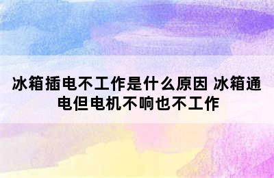 冰箱插电不工作是什么原因 冰箱通电但电机不响也不工作